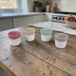 Set of 4 Mini Terracotta Succulent Pots